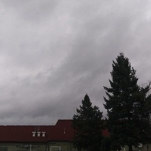 Meet your Posher, Max